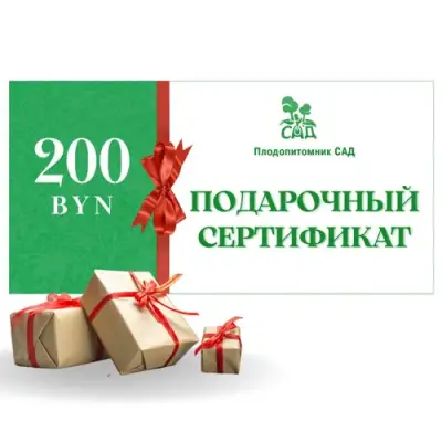 Подарочный сертификат на 200 BYN в Пскове
