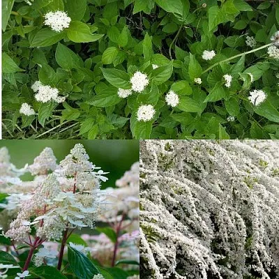 Комплект СКАНДИНАВСКИЙ СТИЛЬ в Пскове