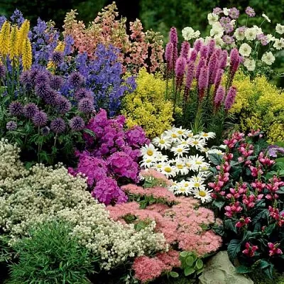 Травы  Травы в Пскове