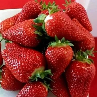 Клубника БРИЛЛА  Клубника БРИЛЛА в Пскове