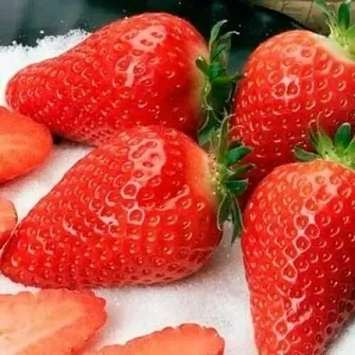 Клубника АЛЬБА  Клубника АЛЬБА в Пскове